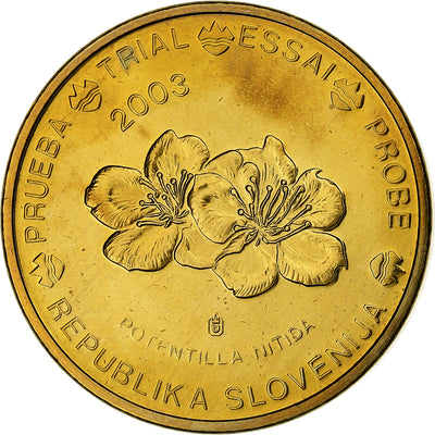 Eslovenia, 
            
               20 Euro Cent, 
            
               unofficial private coin