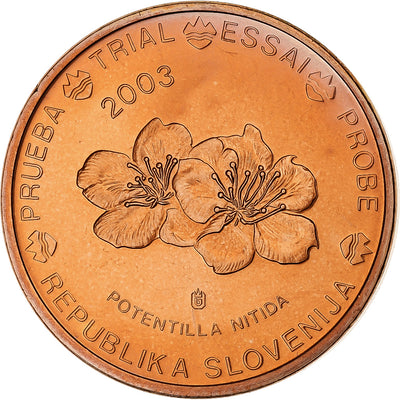 Eslovenia, 
            
               5 Euro Cent, 
            
               unofficial private coin